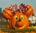 /album/fotogalerie/dyne-minnie-jpg/